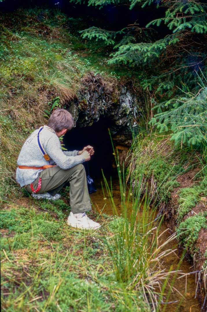 Henfwlch adit portal August 1986, submitted by Dickie Bird on 14-03-2026.
© Richard Bird Henfwlch adit portal August 1986